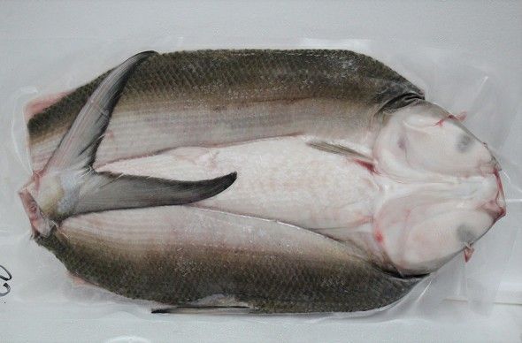 虱目魚 750–850g-