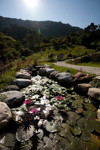 內園區景-