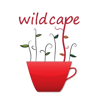 南非國寶茶/南非博士茶 Wild Cape rooibos Tea-