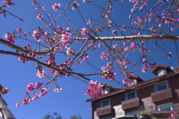 愛力家民宿外觀景色