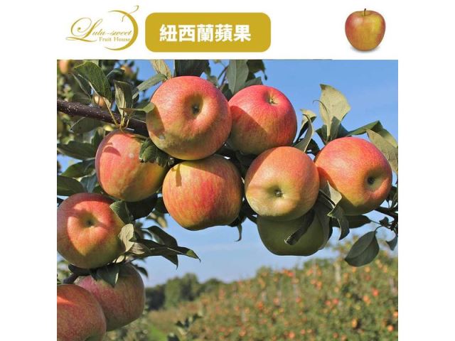紐西蘭富士蘋果35顆入(9kg±10%)-