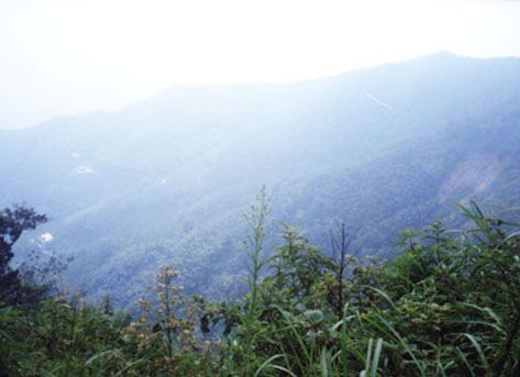 集集大山