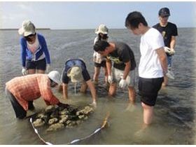 長堤民宿(特色民宿-