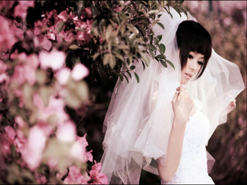 巴黎春天婚紗攝影–絢麗綻放-