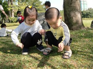 戶外教學認識植物活動花絮-