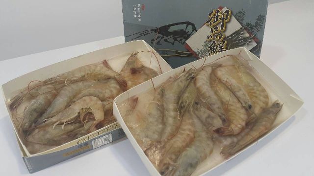 《御品鮮》 15公分-新鮮生白蝦