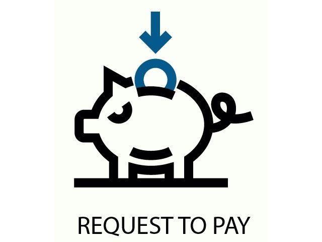 REQUEST TO PAY-