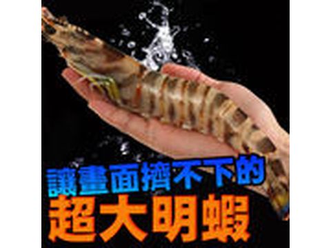 澎湖大明蝦