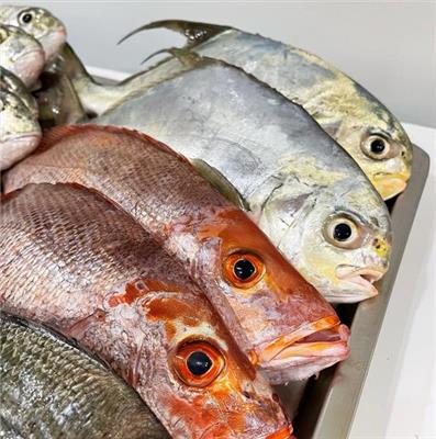 魚和米壽司
