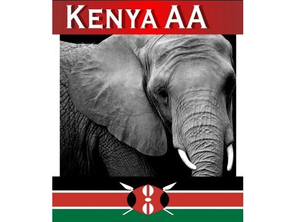 咖啡烘焙豆–肯亞 Kenya AA-