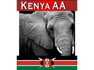 咖啡烘焙豆&ndash;肯亞 Kenya AA