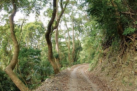 美輪山步道