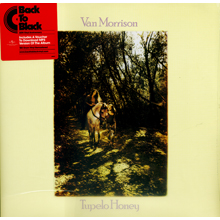 Tupelo Honey/陶比洛密糖 -  Van Morrisons/范莫里遜LP-