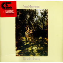 Tupelo Honey/陶比洛密糖 -  Van Morrisons/范莫里遜LP