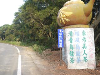 湖口鄉觀光茶園-