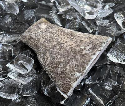 龍膽石斑尾巴(150克 ~ 250克)