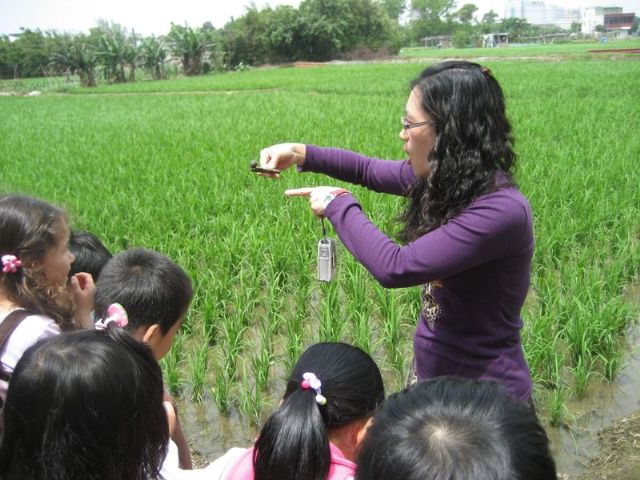 戶外參觀教學–菜園大發現-