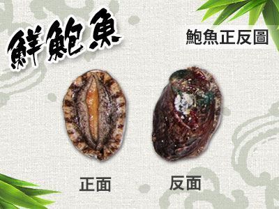 鮑魚批發推薦