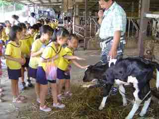 校外教學(竹南幼兒園)