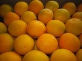檸檬先生(水果批發商)–冷凍水果配送-