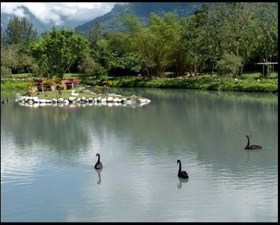 農場風景-