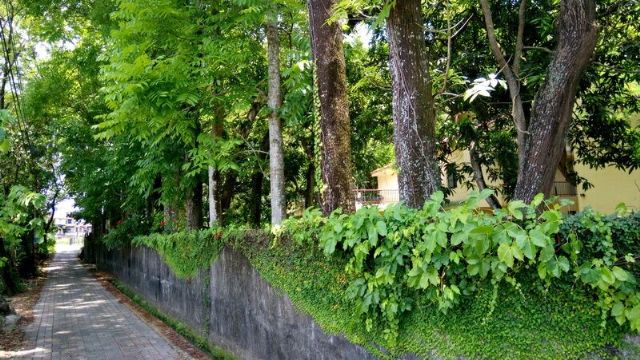 雲山居景觀-