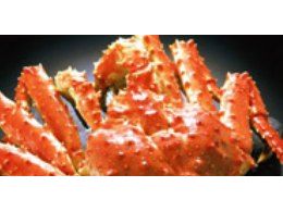 帝王蟹 King crab-