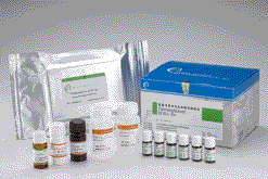 氯黴素酵素免疫檢驗試劑盒 Chloramphenicol ELISA Diagnostic Kit