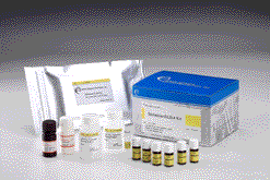 三聚氰胺酵素免疫檢驗試劑盒Melamine ELISA Test Kit
