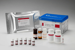 硝化富蘭音代謝物酵素免疫檢驗試劑盒Nitrofurantoin (AHD) Test Kit