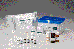 富來他頓代謝物酵素免疫檢驗試劑盒Furaltadone (AMOZ) ELISA Diagnostic Kit-