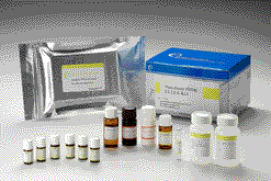 硝化富樂遜代謝物酵素免疫檢驗試劑盒 Nitrofurazone (SEM) ELISA Test Kit