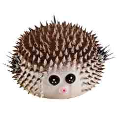 卡通造型蛋糕–胖胖魚造型