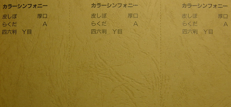 日本雲彩紙132gsm-A4 20張/包-