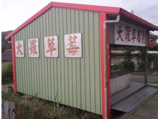 大羅草莓園