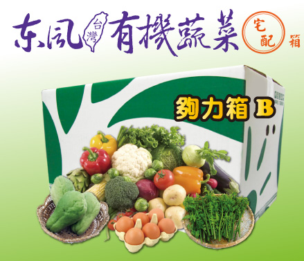 有機蔬菜宅配(東風有機蔬菜宅配箱【夠力箱B】)-