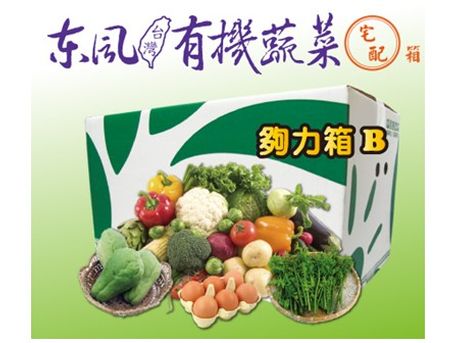 有機蔬菜宅配(東風有機蔬菜宅配箱【夠力箱B】)