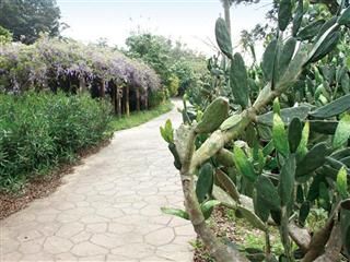 福祥多肉植物園