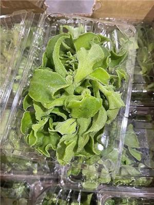 新富水產網購批發