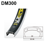 DM300-