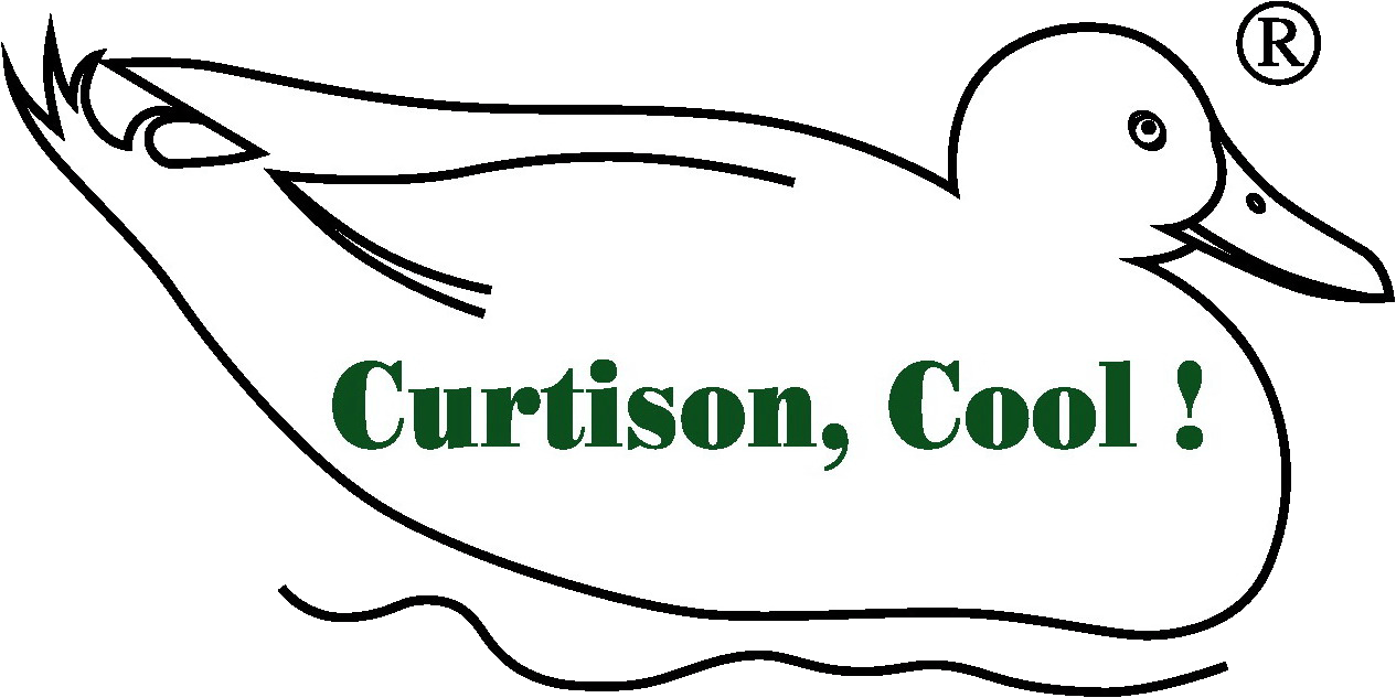 CURTISON,COOL!氣化式冷風機涼風扇水冷扇環保空調抽風機排風機送風機-