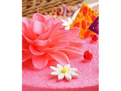 2016母親節蛋糕–溫馨花漾-台灣伊莎貝爾食品股份有限公司