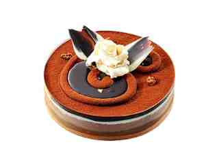 歡慶蛋糕–恣意好時光系列