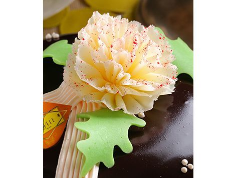 2016母親節蛋糕–巧克獻禮-台灣伊莎貝爾食品股份有限公司