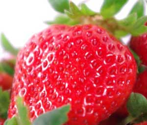 大湖鮮紅大草莓-