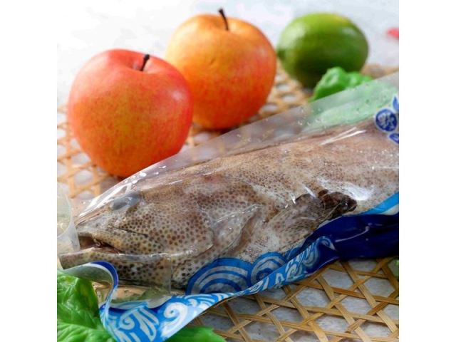 馬紹爾野生石斑魚-