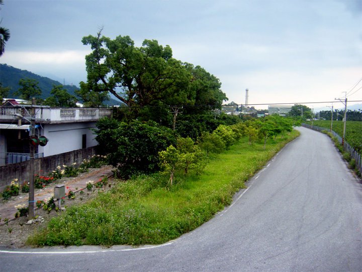 民宿周邊環境-