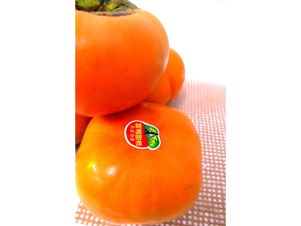 甜柿-
