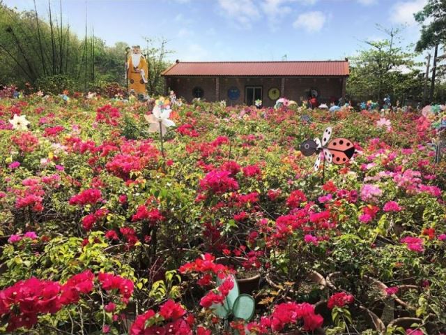 大坑古厝白馬神廟-寵物遺體焚化、往生禮儀服務-