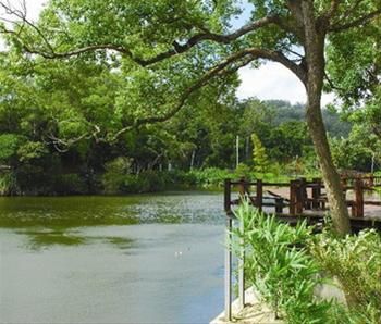 銅鏡山林步道